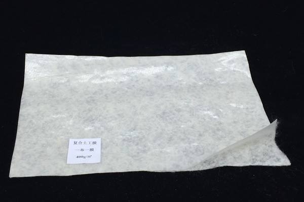 闡述復合土工膜的2種生產工藝
