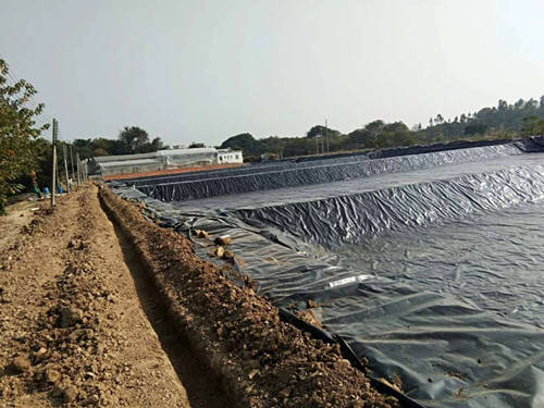 人工藕池土工膜