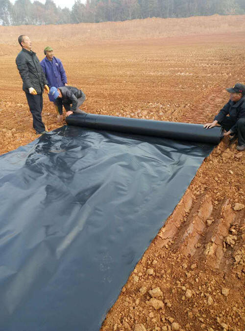 垃圾填埋場專用土工膜